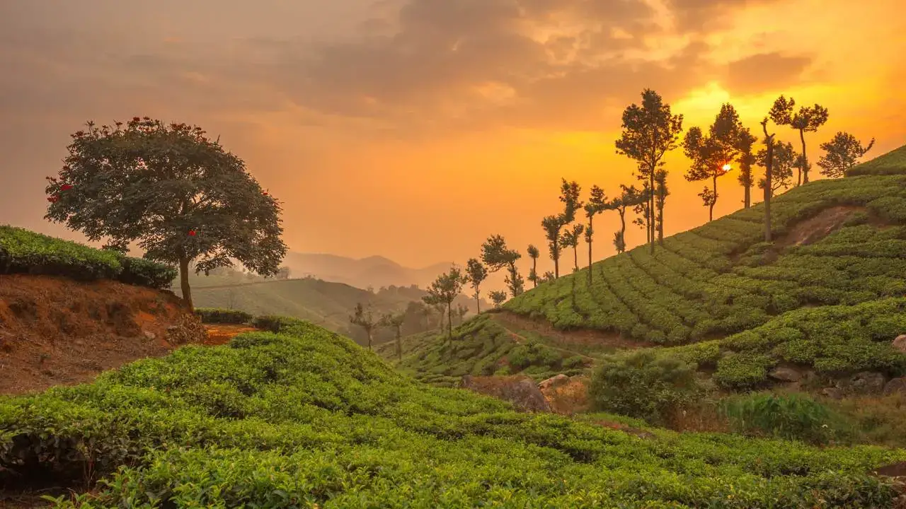 6 Days Munnar Thekkady Alleppey Package